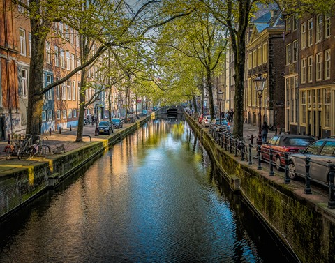 Photo by Mitchmeister