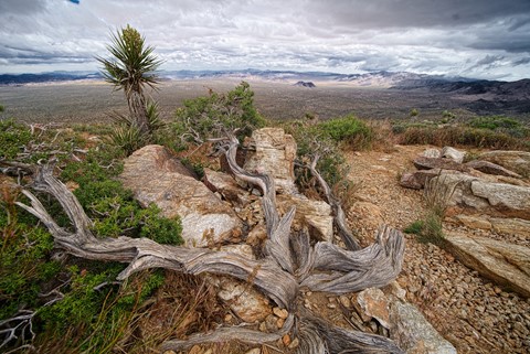 Photo by JD-digitalPhotoReview