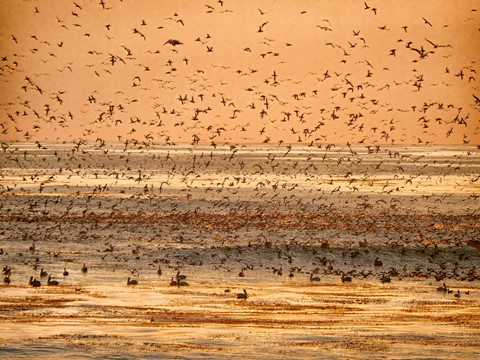 Photo by TX Photo Doc