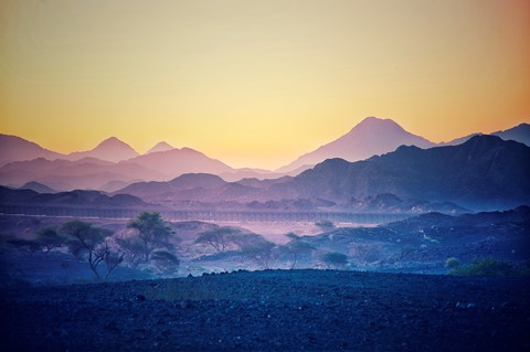 Photo by Morning Bliss