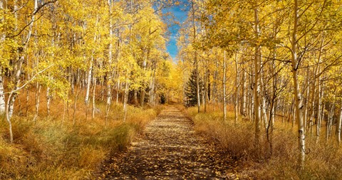 Photo by FriendofLight