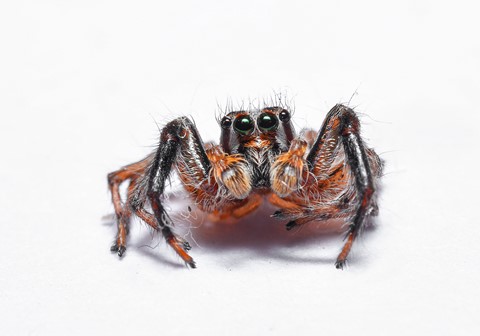 Photo by rajeev22675