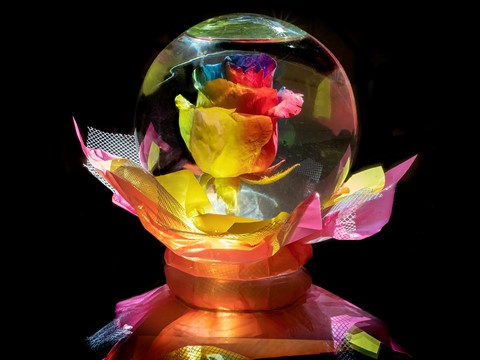 Photo by TX Photo Doc