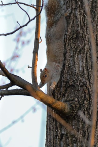 Photo by Almost there . . .