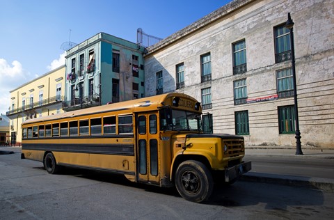 Photo by Miguel Mealha