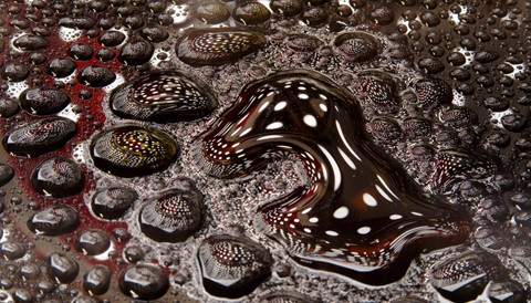 Photo by User8712594820