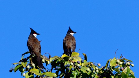 Photo by Shiann Yang