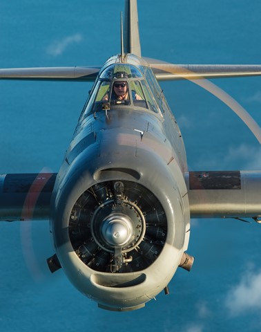 Photo by MFranko_734