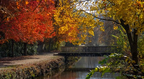 Photo by johncecilian