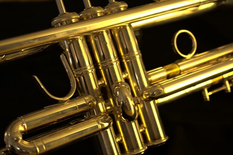 Photo by MarcelMechelen