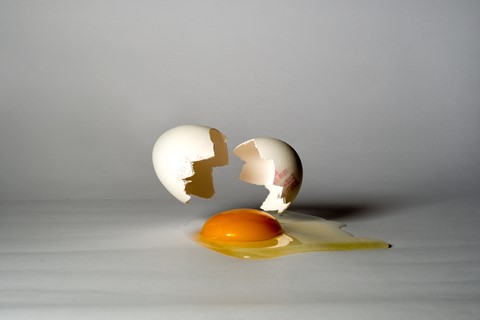 Photo by User0812835894