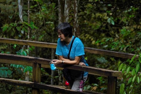 Photo by Walk in a Forest Reserve