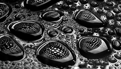 Photo by User8712594820