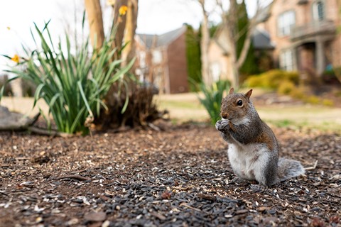 Photo by Richard Kwon