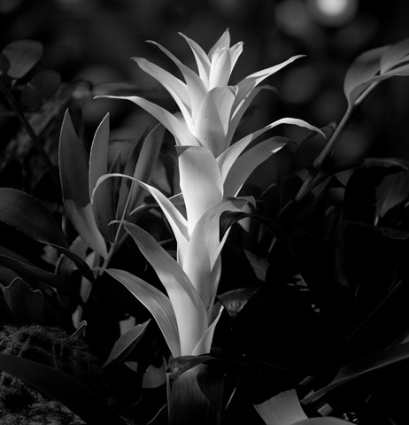 Photo by garylowellshum