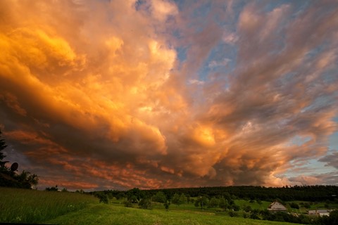 Photo by Holger Bargen