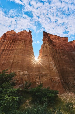 Photo by Light Focus