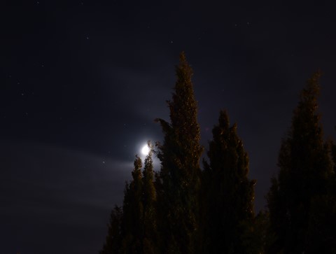 Photo by Ruy hawkeye