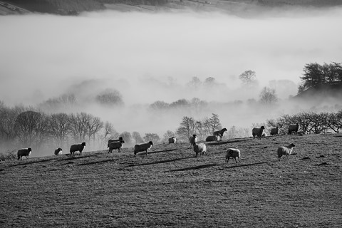 Photo by hectorpatrick