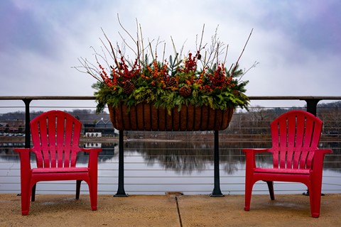 Photo by johncecilian