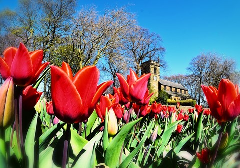 Photo by jonestheroad