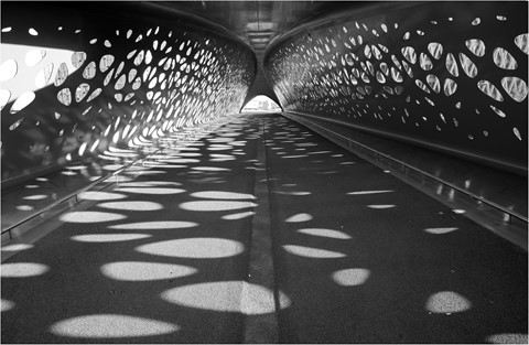 Photo by patrick daniels