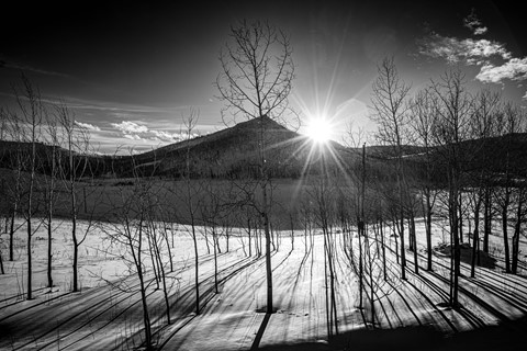 Photo by Richard Carande