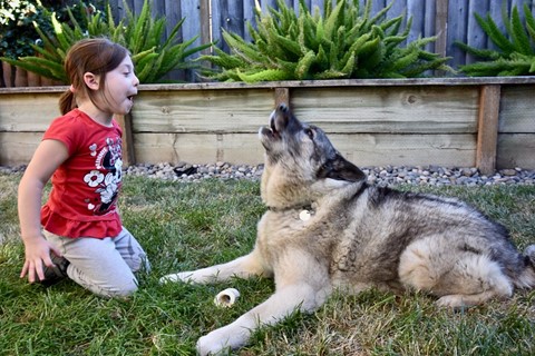 Photo by jacqueparees