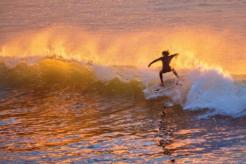 Photo by Jonathan Shapiro