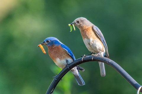 Photo by jmiller1948