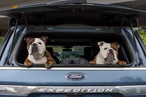 Photo by User9493680768