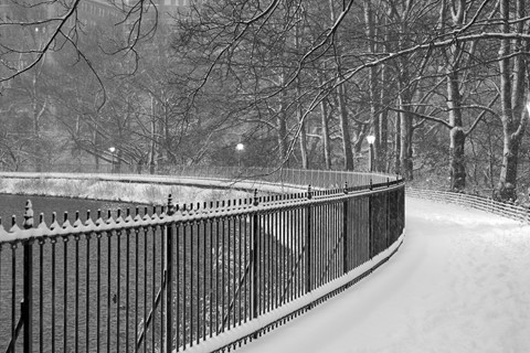 Photo by BrentSchumer