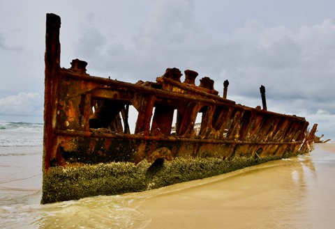 Photo by Mark B Willey