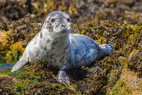 Photo by Mike Engles