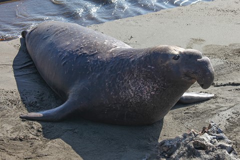 Photo by BouncingCzech