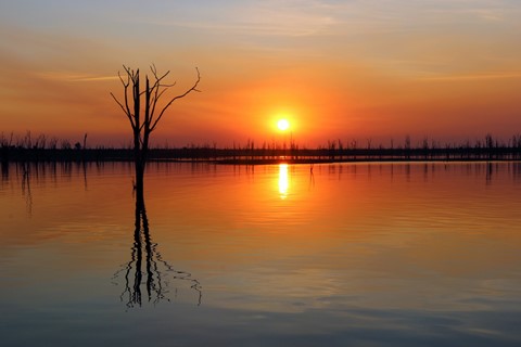 Photo by Natural Beauty