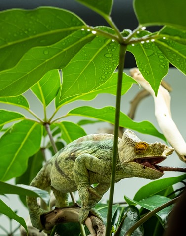 Photo by johncecilian