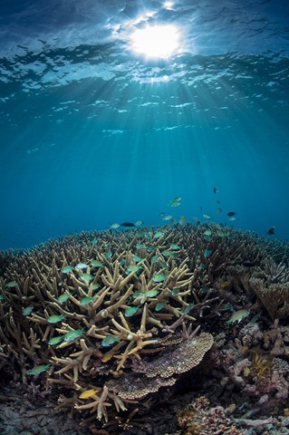 Photo by Chris Kippax