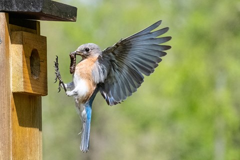 Photo by jmiller1948