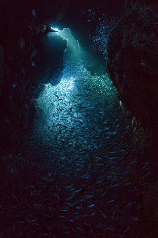 Photo by 191001-142540-9-D850