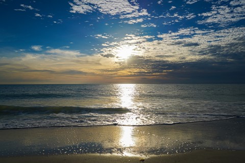 Photo by Lily Harris