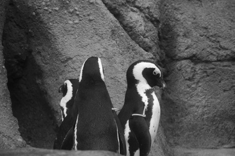 Photo by garylowellshum