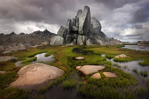 Photo by Jill Hancock