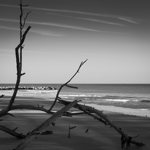 Photo by Lily Harris