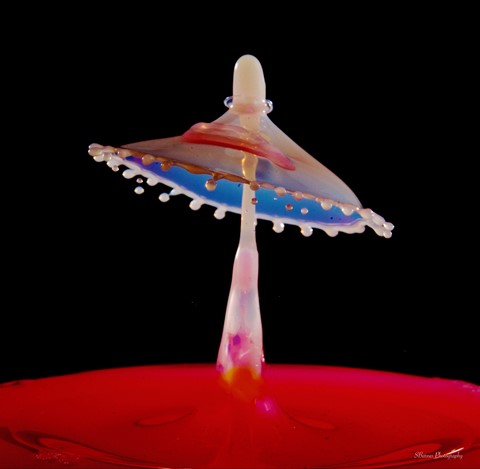 Photo by User8712594820