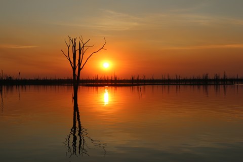 Photo by Nilesh Trivedi