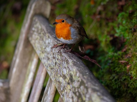 Photo by PhilRogersPhoto