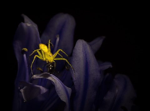 Photo by Chris Kippax