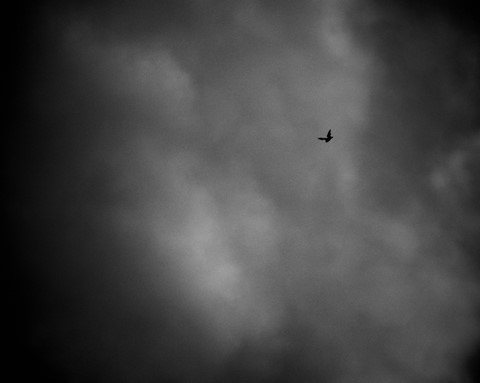 Photo by GodsCreation