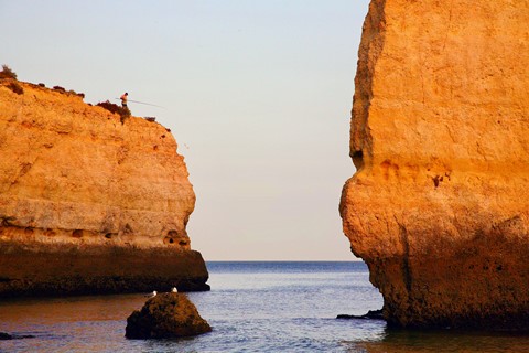 Photo by Bas Hamstra